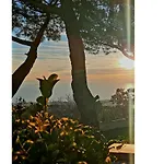 Ioli Vesuvio Bed & Breakfast 4*