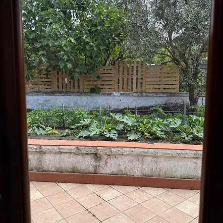 Ioli Vesuvio Ερκολάνο