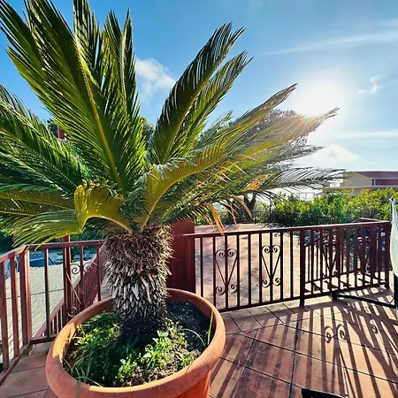 Ioli Vesuvio Bed and Breakfast Ερκολάνο