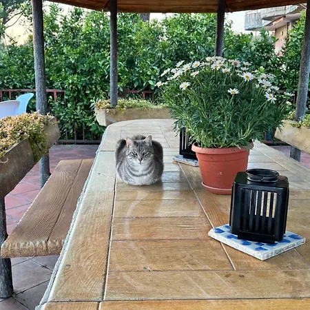 Bed & Breakfast Ioli Vesuvio Ercolano